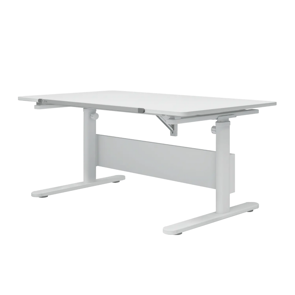Evo Study Desk - fixed desktop