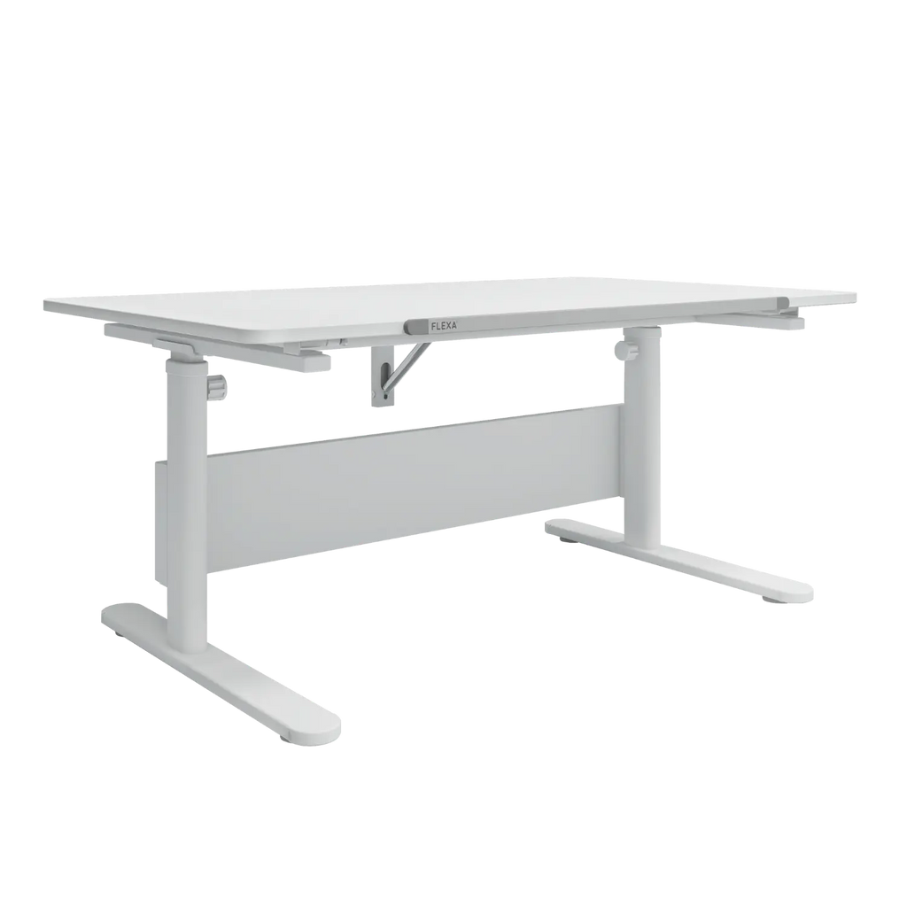 Evo Study Desk - fixed desktop