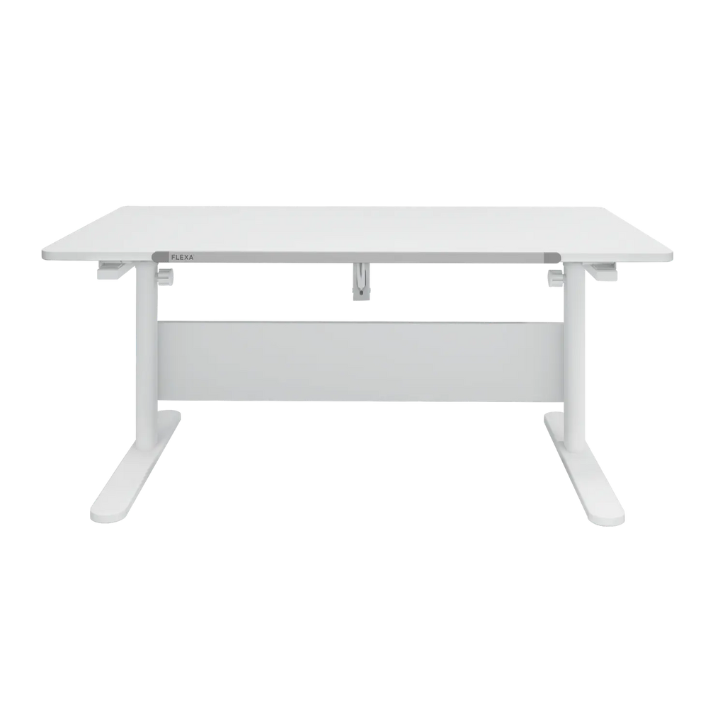 Evo Study Desk - fixed desktop