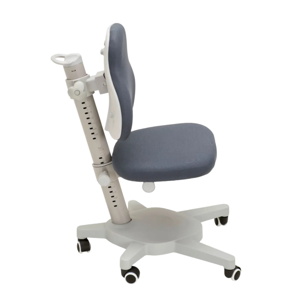Study Chair